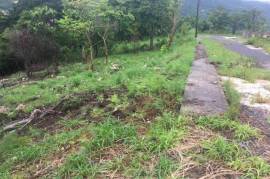 Residential Lot for Sale in Mandeville