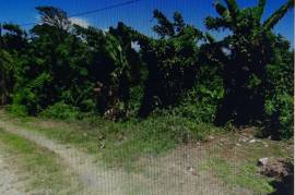 Residential Lot for Sale in Orange Bay