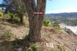 Residential Lot for Sale in Williamsfield