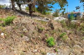 Residential Lot for Sale in Williamsfield