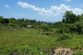 Residential Lot for Sale in Negril