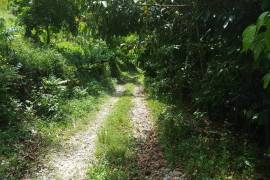 Residential Lot for Sale in Buff Bay