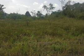 Residential Lot for Sale in Pepper