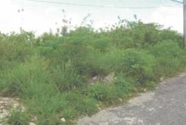 Residential Lot for Foreclosure in Williamsfield