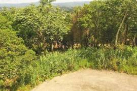 Residential Lot for Sale in Mandeville