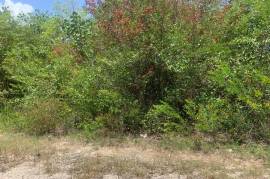 Residential Lot for Sale in Black River