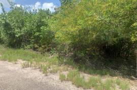 Residential Lot for Sale in Black River