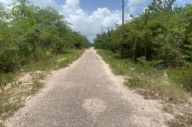 Residential Lot for Sale in Black River