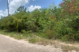 Residential Lot for Sale in Black River