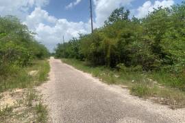 Residential Lot for Sale in Black River