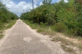 Residential Lot for Sale in Black River