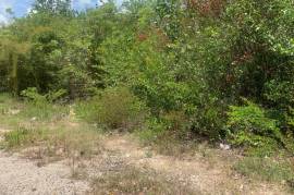 Residential Lot for Sale in Black River