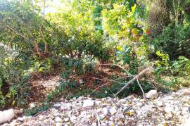 Residential Lot for Sale in Montego Bay