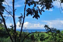 Residential Lot for Sale in Orange Bay