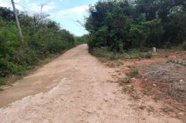 Residential Lot for Sale in Nain