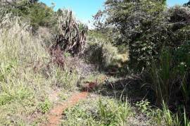 Residential Lot for Sale in Boscobel