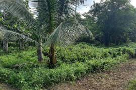 Residential Lot for Sale in Linstead