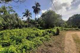 Residential Lot for Sale in Linstead