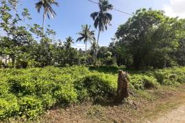 Residential Lot for Sale in Linstead