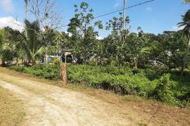 Residential Lot for Sale in Linstead