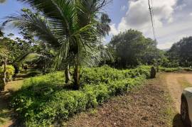 Residential Lot for Sale in Linstead