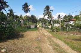 Residential Lot for Sale in Linstead