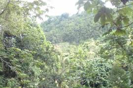 Residential Lot for Sale in Red Hills