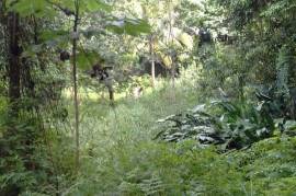 Residential Lot for Sale in Red Hills