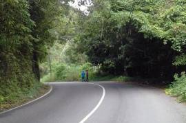 Residential Lot for Sale in Red Hills