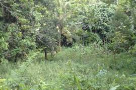 Residential Lot for Sale in Red Hills