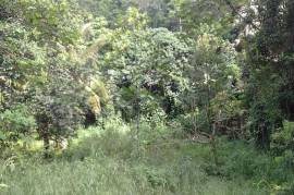 Residential Lot for Sale in Red Hills