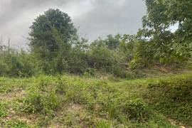 Residential Lot for Sale in Ewarton