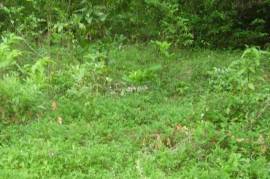 Residential Lot for Sale in Boscobel