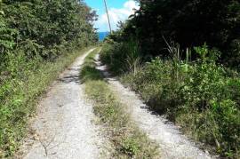 Residential Lot for Sale in Buff Bay