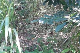 Residential Lot for Sale in Buff Bay