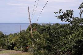 Residential Lot for Sale in Buff Bay