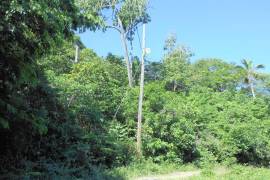 Residential Lot for Sale in Buff Bay