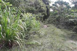 Residential Lot for Sale in Buff Bay