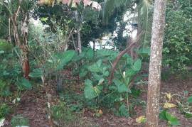 Residential Lot for Sale in Ocho Rios