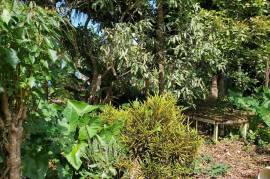 Residential Lot for Sale in Ocho Rios