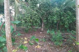 Residential Lot for Sale in Ocho Rios