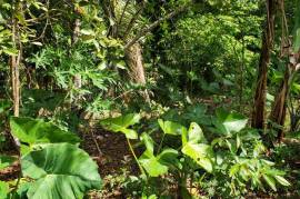 Residential Lot for Sale in Ocho Rios