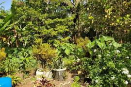 Residential Lot for Sale in Ocho Rios