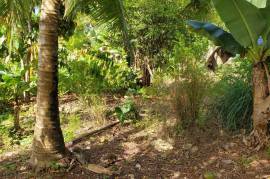 Residential Lot for Sale in Ocho Rios