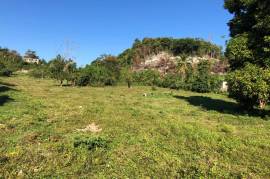 Residential Lot for Sale in Browns Town