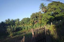 Residential Lot for Sale in May Pen