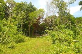 Residential Lot for Sale in Oracabessa