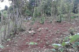 Residential Lot for Sale in Oracabessa