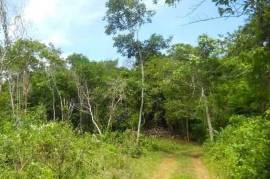 Residential Lot for Sale in Oracabessa