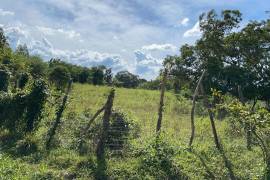 Residential Lot for Sale in Santa Cruz